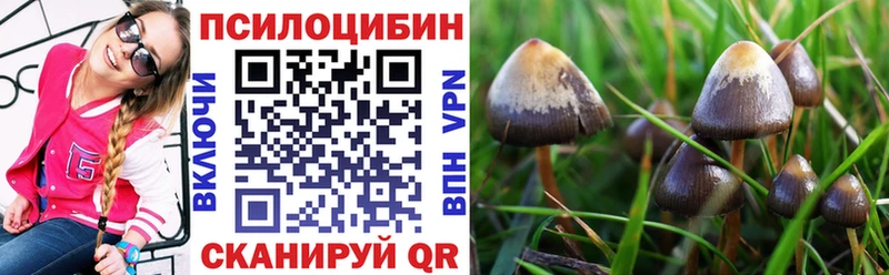 даркнет сайт  Лиски  Галлюциногенные грибы прущие грибы 